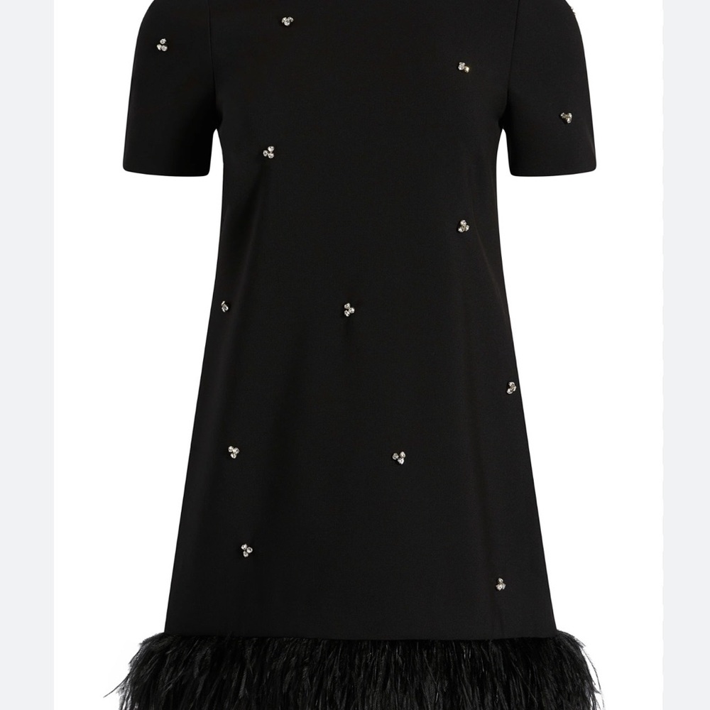 Black Dress with Feather Hem and Embellishments